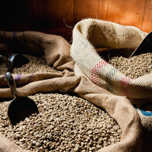 Green Coffee Beans - Single Origins