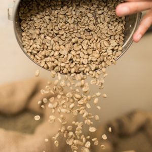 Decaf Green Coffee Beans - Single Origin