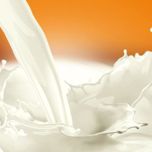 Milk & Milk Alternatives